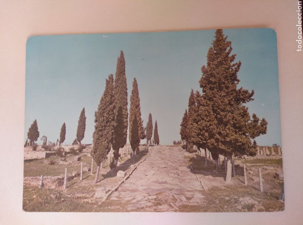 Postales: SANTIPONCE, RUINAS DE IT&Aacute;LICA, CALLE SEVILLA.