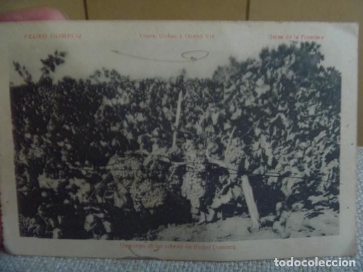 Postales: ANTIGUA POSTAL PEDRO DOMECQ VINOS Y COGNAC JEREZ DE LA FRONTERA