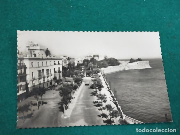 Postales: POSTAL CADIZ N&ordm; 35 ALAMEDAS DE APODACA Y MARQUES DE COMILLAS .- EDICION GARCIA GARRABELLA