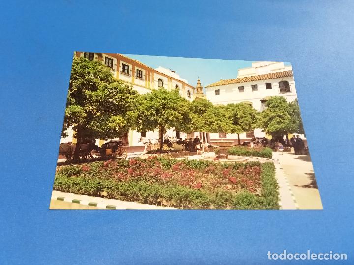Postcards: TARJETA POSTAL. SEVILLA. PLAZA DE DO&Ntilde;A ELVIRA. 2024. ED ARRIBAS