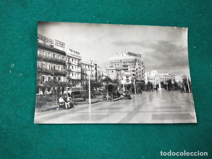 Postales: POSTAL - CADIZ - AVENIDA D. RAMON CARRANZA. EDICIONES SICILIA. CIRCULADA.