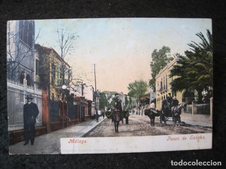 Postales: MALAGA-PASEO DE SANCHA-PURGER & CO-3401-REVERSO SIN DIVIDIR-POSTAL ANTIGUA-(94.544)