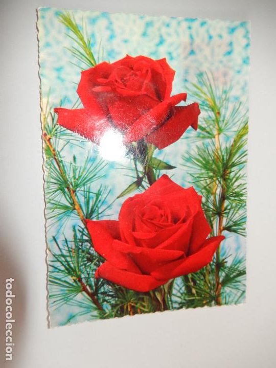 Postcards: ROSAS - 1972- TARJETA POSTAL