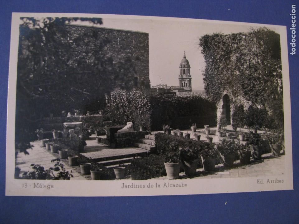 Postcards: POSTAL FOTOGR&Aacute;FICA DE M&Aacute;LAGA. JARDINES DE LA ALCAZABA. ARRIBAS. DETR&Aacute;S EN BLANCO.