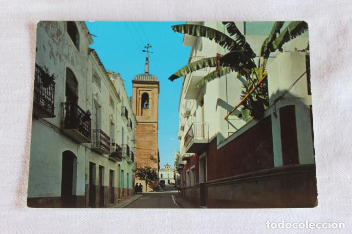 Postales: POSTAL CUEVAS DEL ALMANZORA CALLE CALVO SOTELO