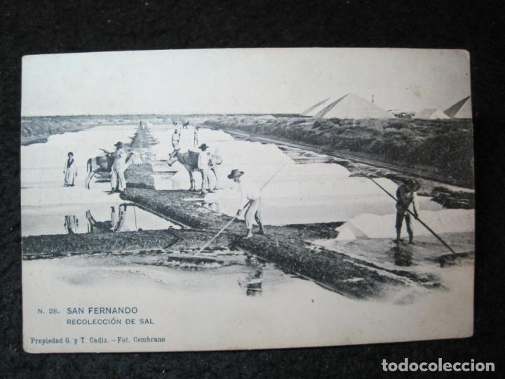 Postais: SAN FERNANDO-RECOLECCION DE SAL-REVERSO SIN DIVIDIR-POSTAL ANTIGUA-(95.614)