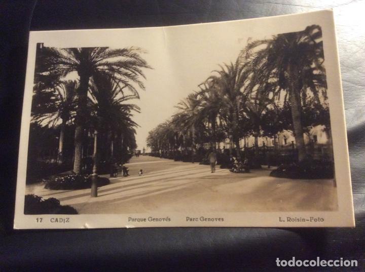 Postales: FOTO POSTAL 17. CADIZ . PARQUE GENOVES. L. ROISIN FOTO. CIRCULADA .A&Ntilde;OS 50