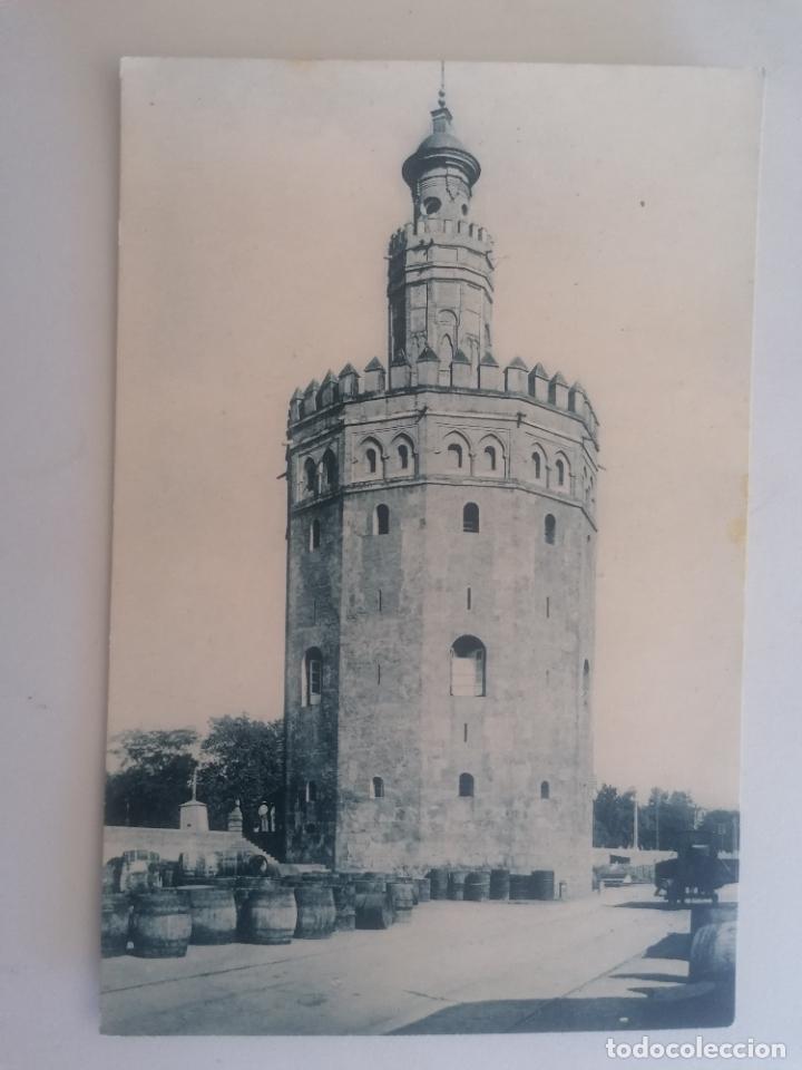 Postcards: POSTAL SEVILLA, TORRE DEL ORO