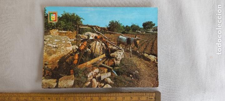 Postales: POSTAL. N&ordm; 73. COSTA DEL SOL. MALAGA. 1963. MOTIO TIPICO. BURRO CON NORIA. EDICIONES FISA
