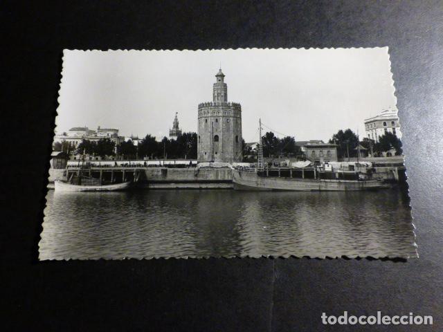 Postales: SEVILLA TORRE DEL ORO - Foto 1