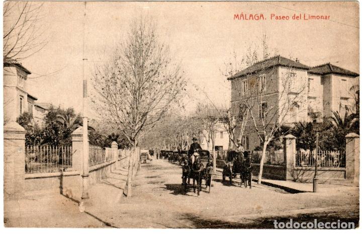 Postales: BONITA POSTAL - MALAGA - PASEO DEL LIMONAR - 2141 FOTOTIPIA THOMAS