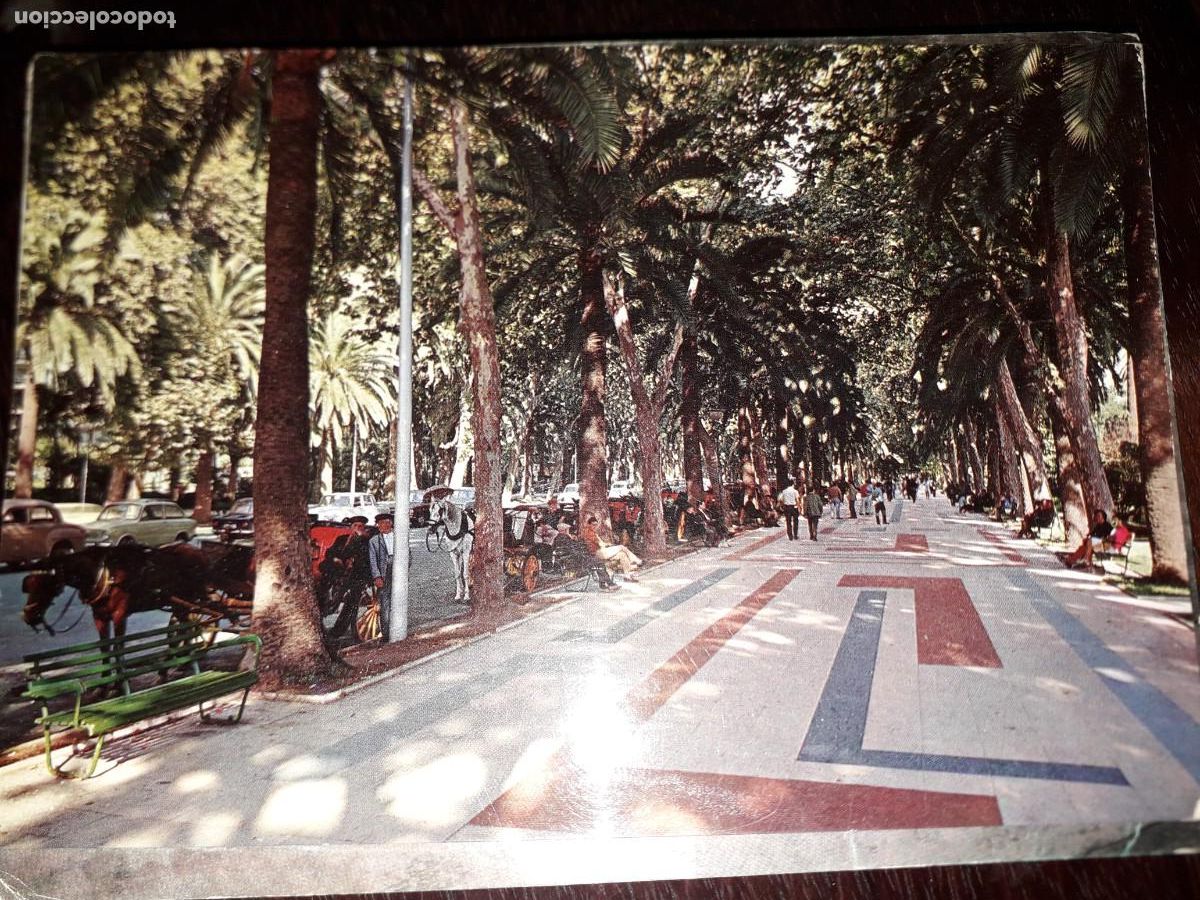 Postales: N&ordm; 44079 POSTAL MALAGA PASEO DEL PARQUE