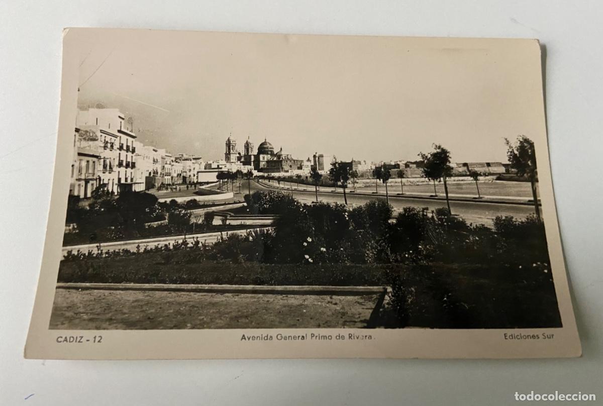 Postales: 116- Cadiz. Avenida General primo de Rivera. Ediciones Sur. Sin circular