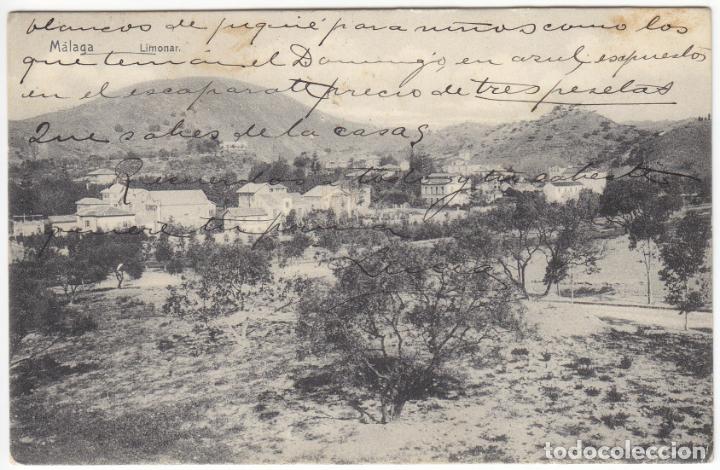Postales: BONITA POSTAL - MALAGA - LIMONAR
