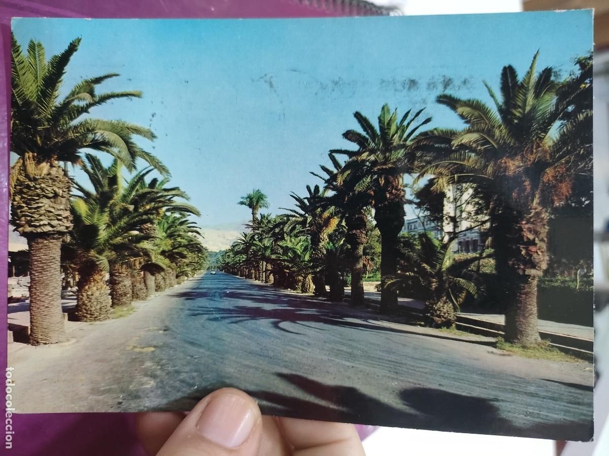 Postales: Postal ALMERIA Paseo de las Palmeras N 115 FRANCISCO GALLEGOS 1967 Escrita y Bellamente Sellada