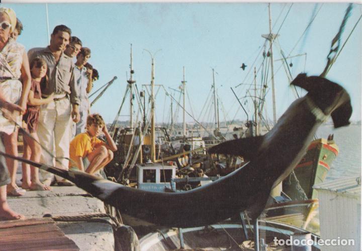 Postales: SANLUCAR DE BARRAMEDA (CADIZ) PUERTO PESQUERO - EXCL.M.DE LOS REYES RAMIREZ N&ordm;25 - S/C