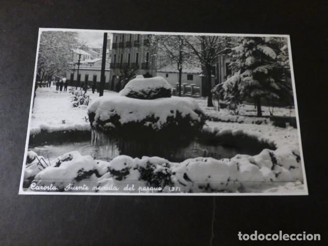 Postales: CAZORLA JAEN FUENTE NEVADA DEL PARQUE - Foto 1