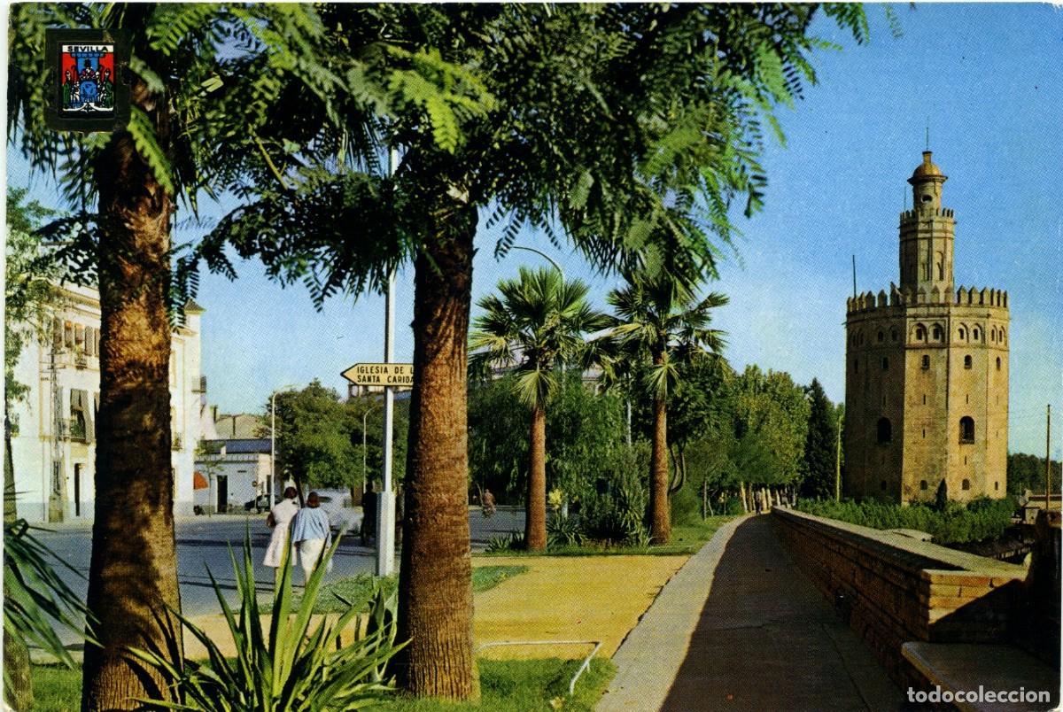 Postales: N&ordm; 5-SEVILLA. Torre del Oro. Sin circular. ED. DOM&Iacute;NGUEZ