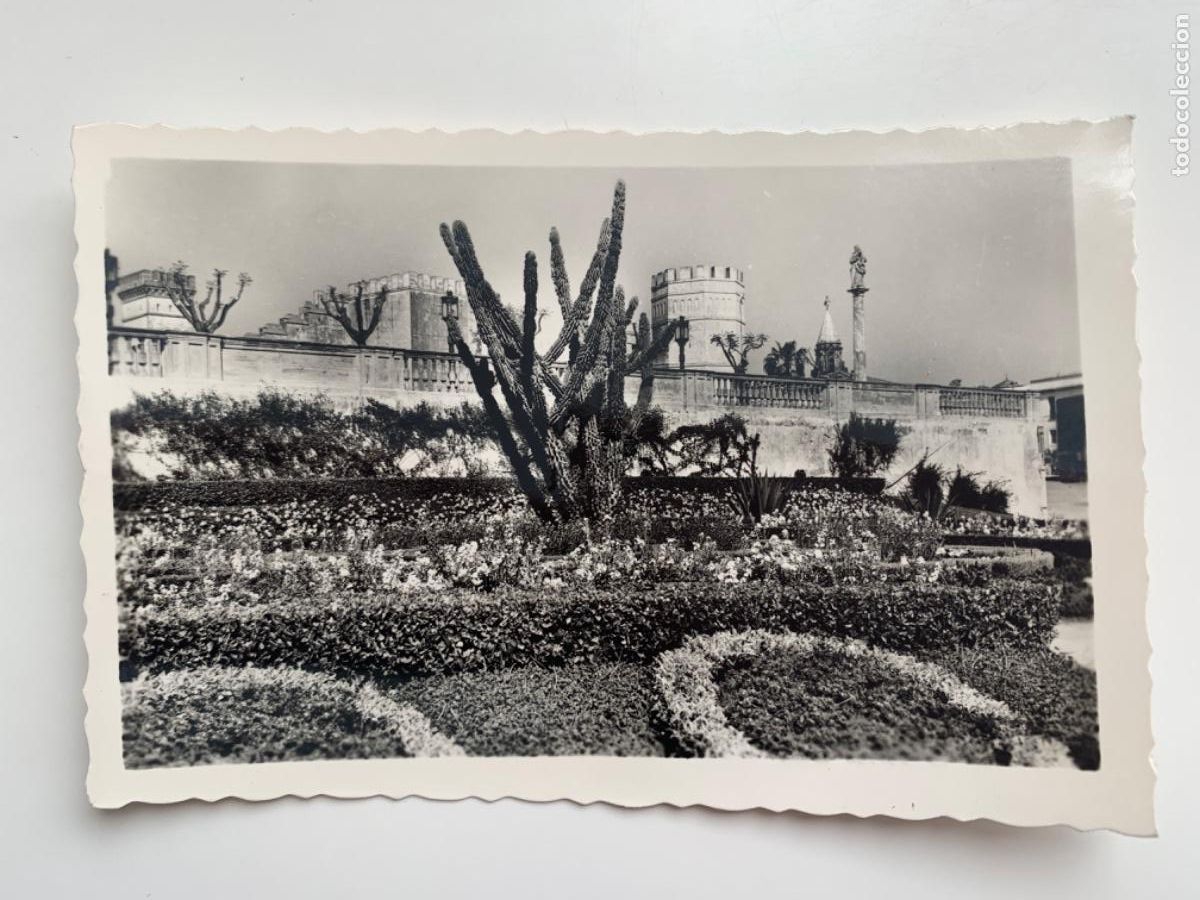Postcards: J&eacute;rez de la Frontera.-Alameda de Fort&uacute;n de Torres .-N&ordm; 134 Ed. Arribas