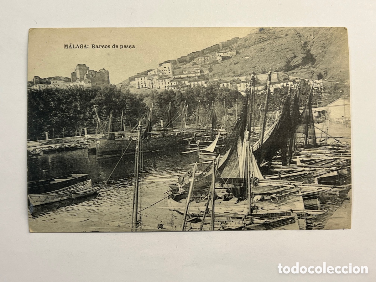 Postales: MALAGA. Postal Barcos de pesca.., Fototipia Hauser y Menet (h.1920?) S/C
