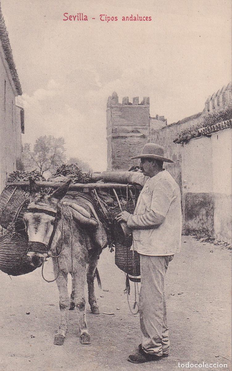 Postales: SEVILLA TIPOS ANDALUCES - Foto 1
