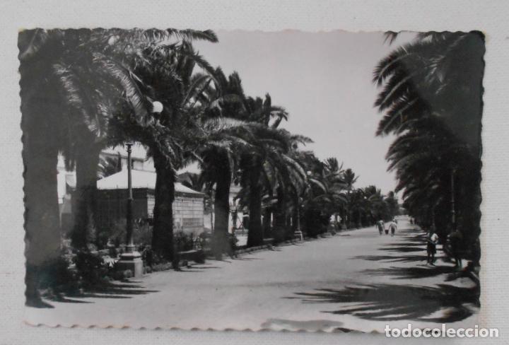 Postales: POSTAL CADIZ PUERTO DE SANTA MARIA