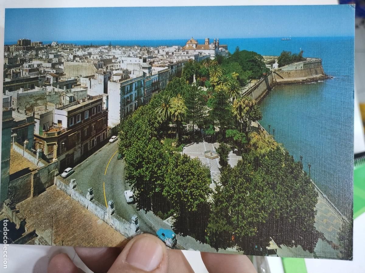 Postales: Postal CADIZ Alameda de Apodaca N 101 SUCILIA S/C