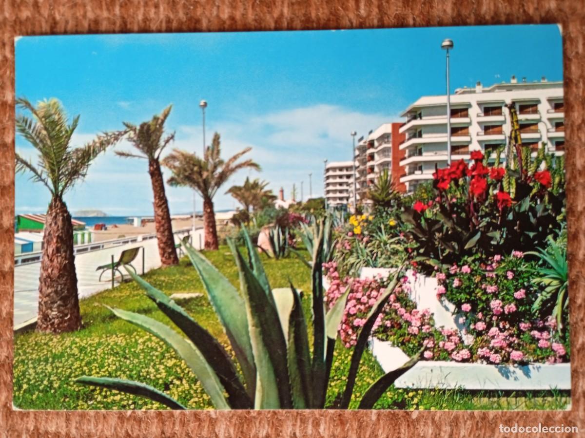 Postales: ESTEPONA - MALAGA