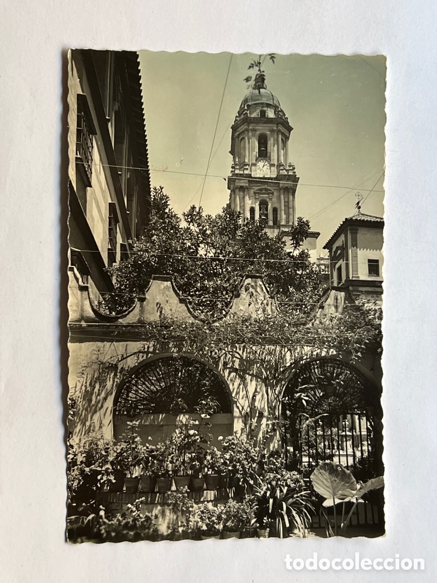 Postales: MALAGA Postal No.21 Jard&iacute;n del Palacio Episcopal y Torre de la Catedral Edic., Garcia Garrabella