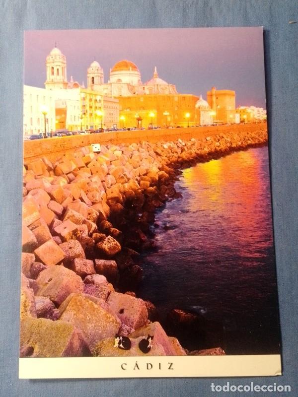 Postais: postal catedral de Santa Cruz Cadiz sin escribir sin sello