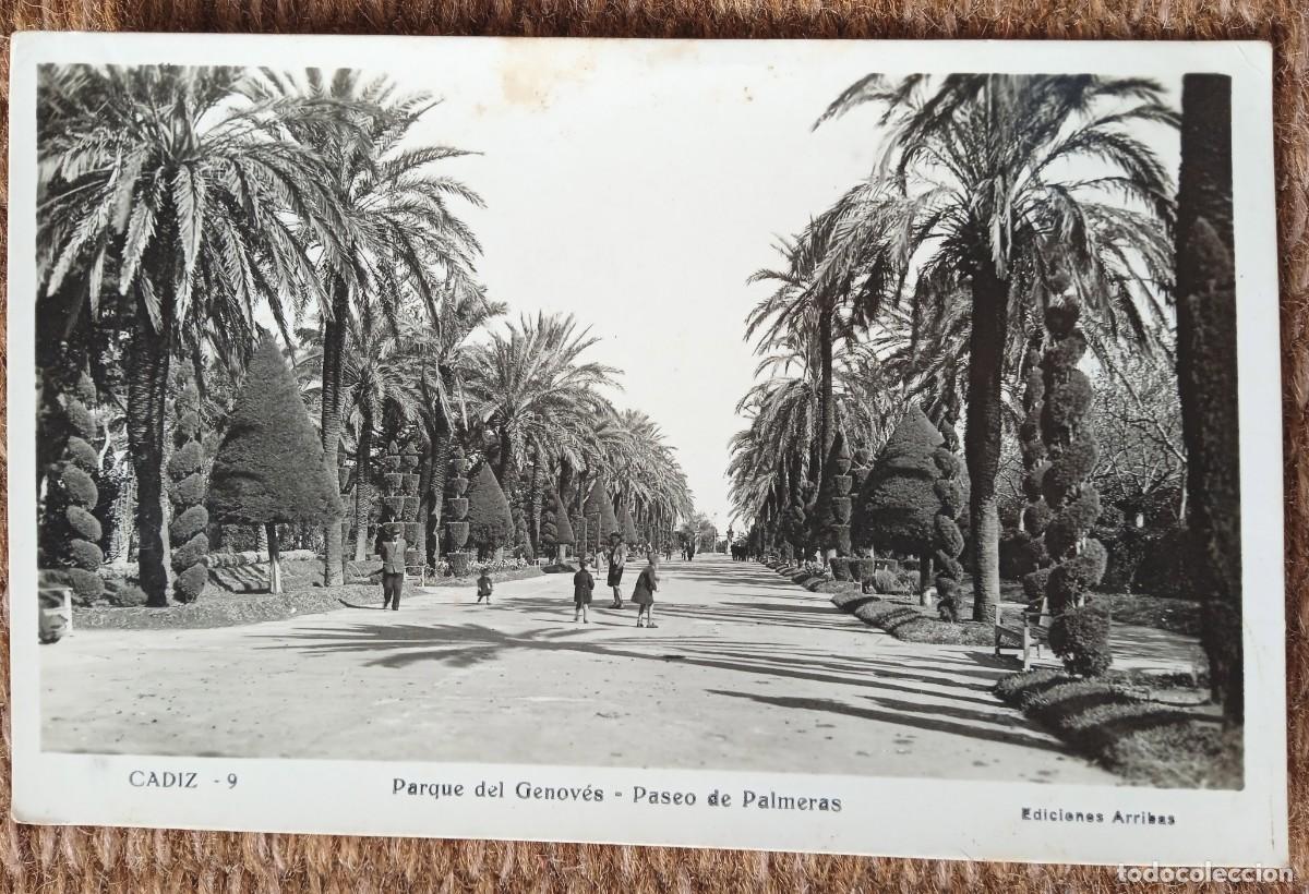 Postales: CADIZ - PARQUE DEL GENOVES - EDICIONES ARRIBAS