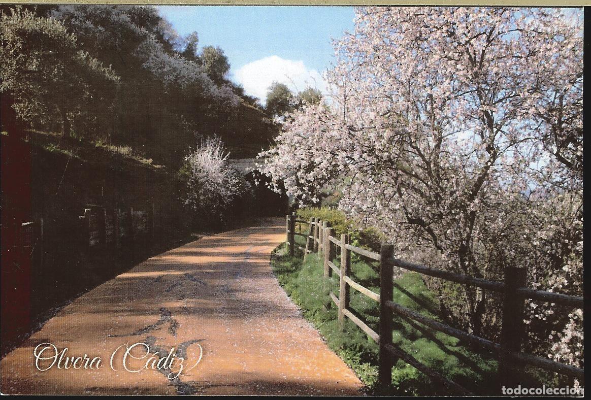 Postales: POSTAL - OLVERA (C&Aacute;DIZ) - Foto 1