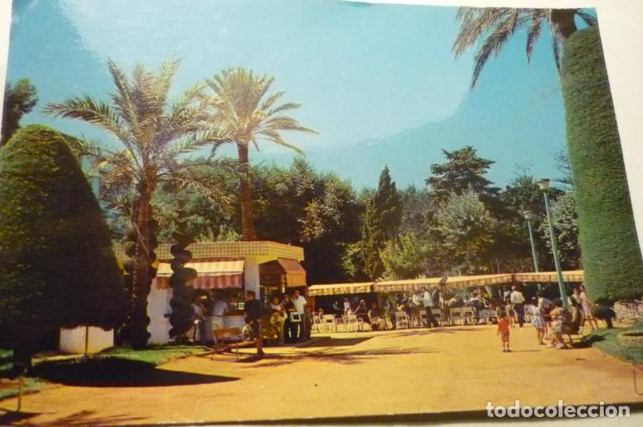 Postales: `postal cadiz parque genoves circulada cm
