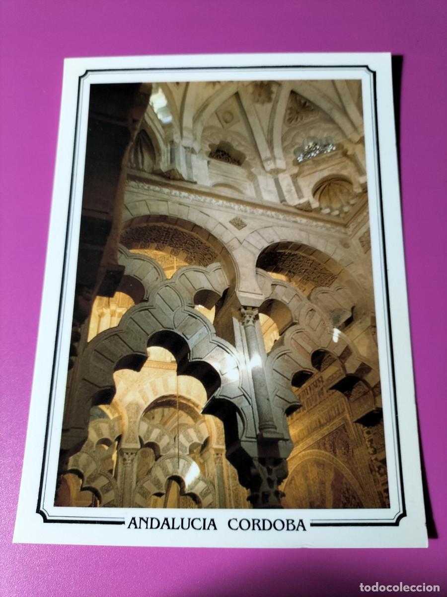 Postales: ANTIGUA POSTAL ANDALUCIA - CORDOBA - MEZQUITA CATEDRAL COLUMNAS