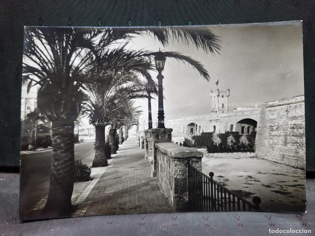 Cartoline: ANTIGUA POSTAL CADIZ CAMPA&Ntilde;A SERIE I 8818