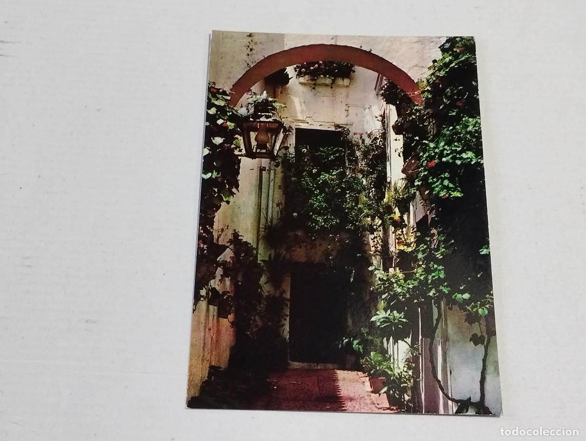 Postales: POSTAL ESPA&Ntilde;A ES DIFERENTE - PATIO ANDALUZ