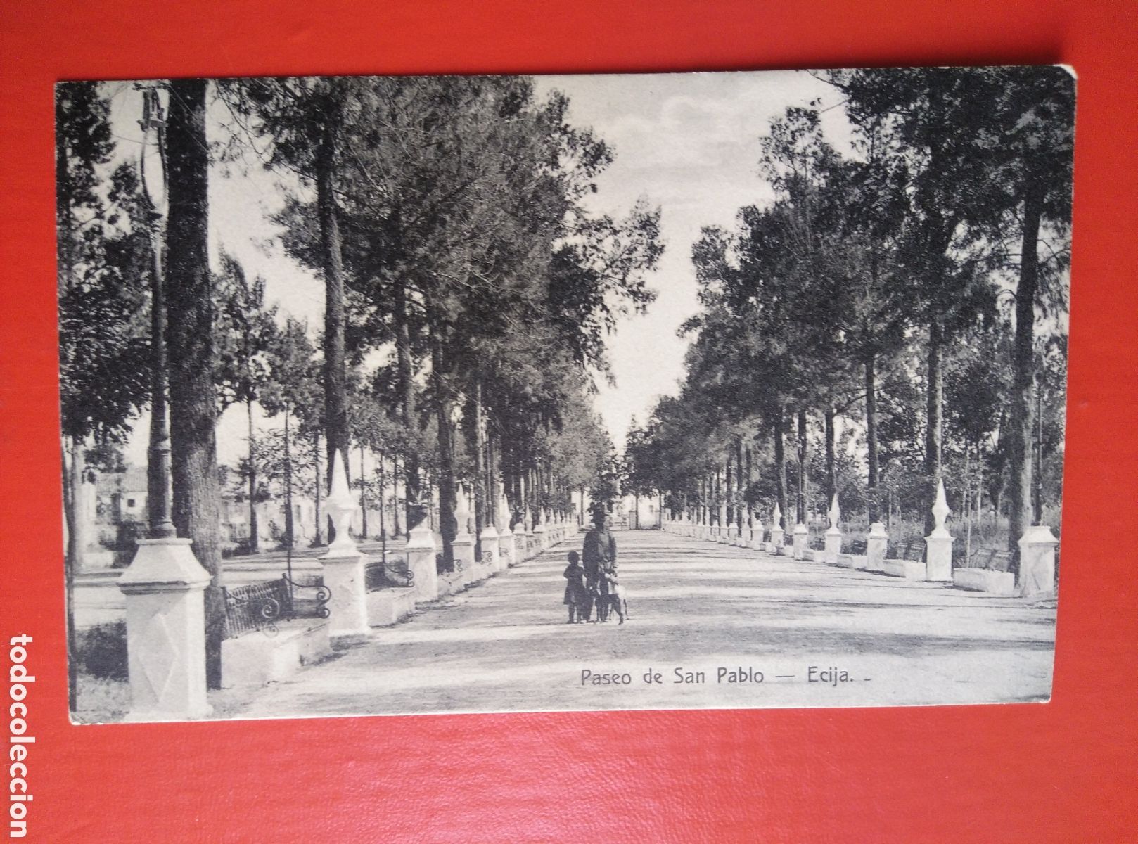 Postkarten: PASEO DE SAN PABLO (ECIJA). Castellano Librero.