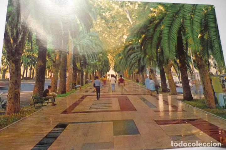 Postales: malaga paseo parque