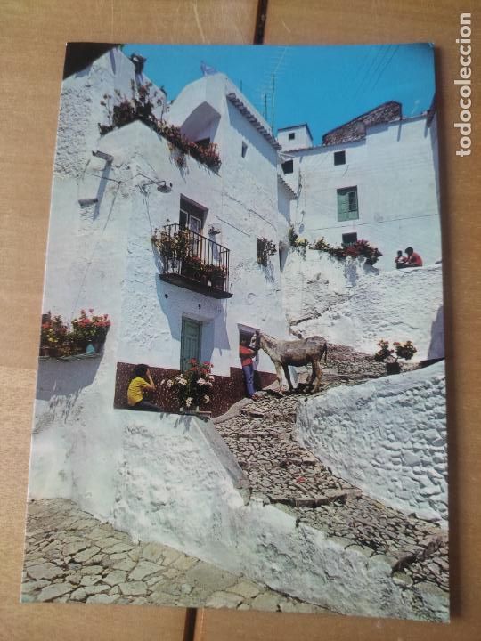 Postales: COMPETA CALLE DEL PUEBLO MALAGA ED SOM CEREZO 565 SC ANIMADA NI&Ntilde;OS BURRO