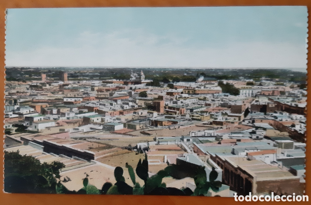 Cartoline: Postal Almer&iacute;a. Vista general. Sin escribir. R2396