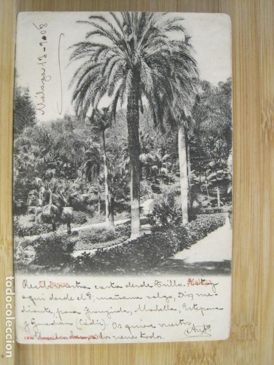 Postales: MALAGA-EL PARQUE-REVERSO SIN DIVIDIR-POSTAL ANTIGUA-(101.293)