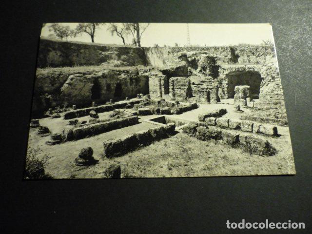 Postales: CARMONA SEVILLA - Foto 1