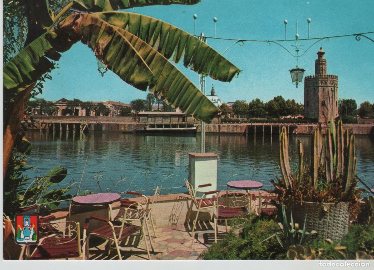 Postales: POSTAL TORRE DEL ORO-SEVILLA