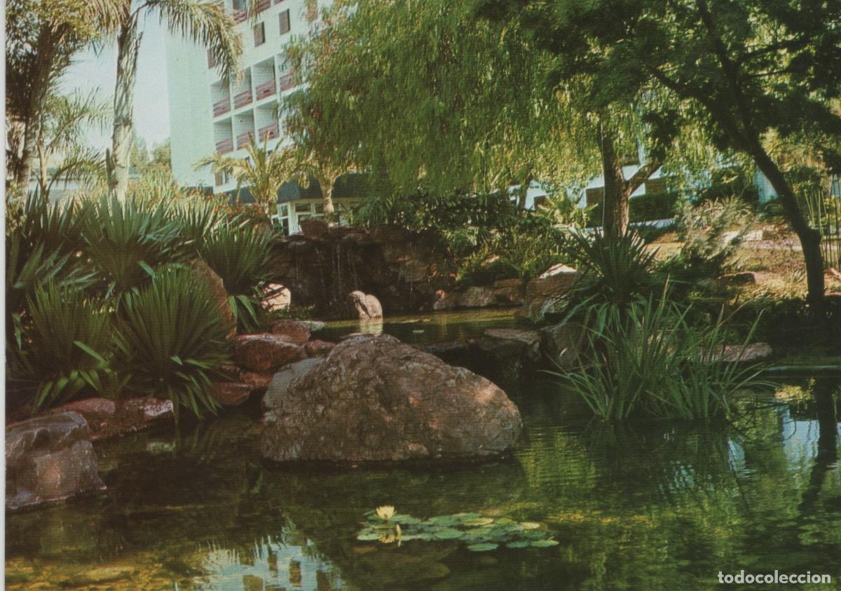 Postales: POSTAL-PARQUE DE LOS MONTEROS-MARBELLA-MALAGA