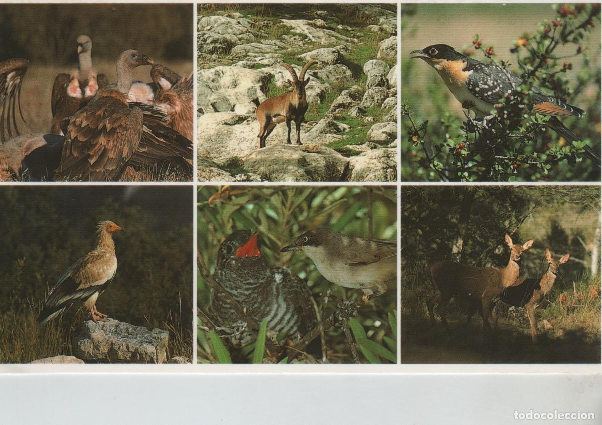 Postales: POSTAL-CAZORLA-JAEN - Foto 1
