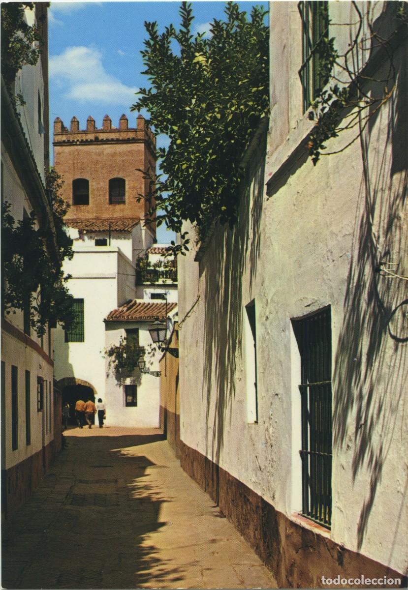 Postales: N&ordm; 211-SEVILLA. Barrio de Santa Cruz. Callej&oacute;n de la Juder&iacute;a. Sin circular. ED. GARC&Iacute;A GARRABELLA