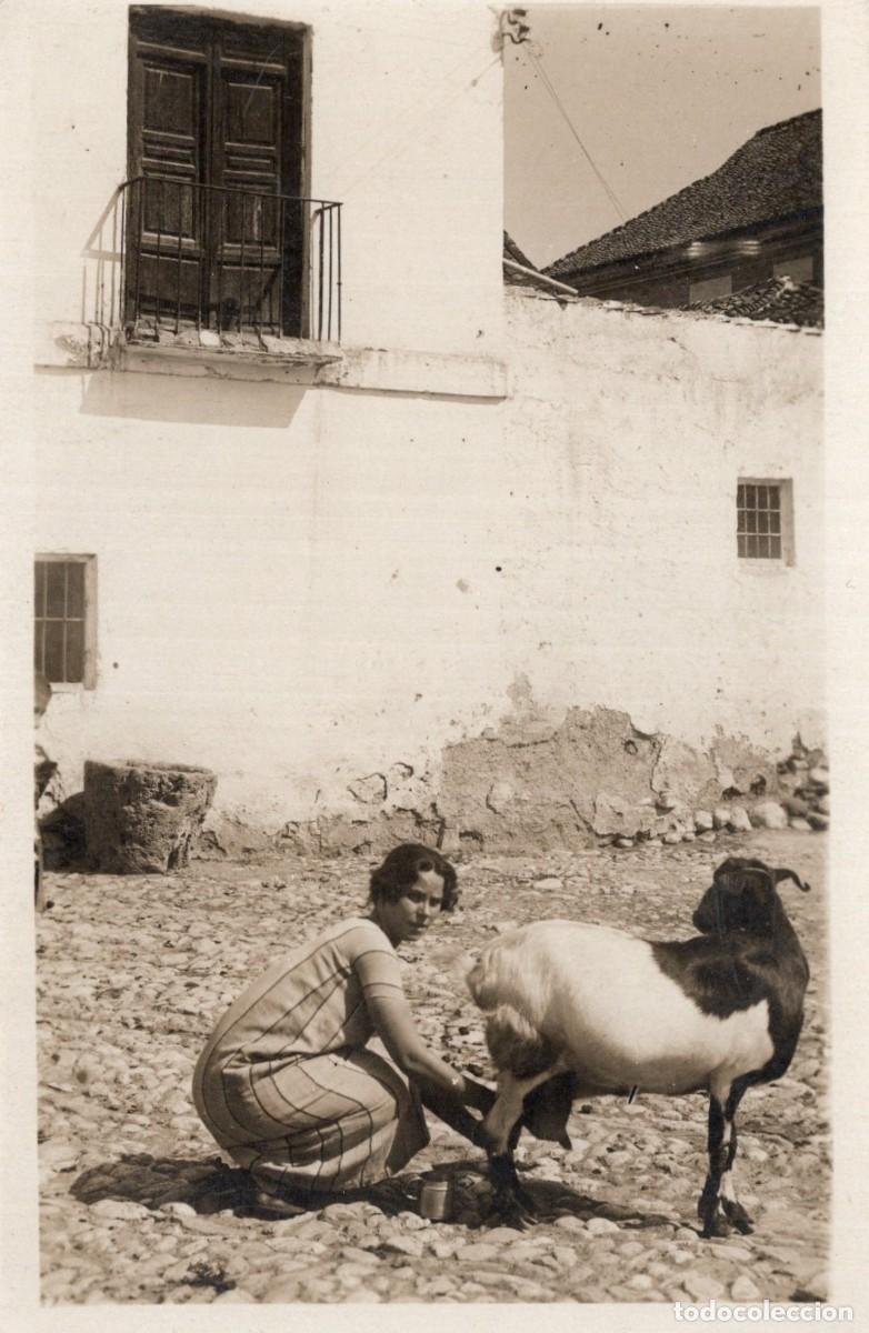Postales: GRANADA. ORDE&Ntilde;ANDO LA CABRA - Foto 1