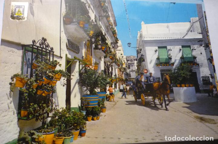 Postales: postal cadiz plazuela tio tiza