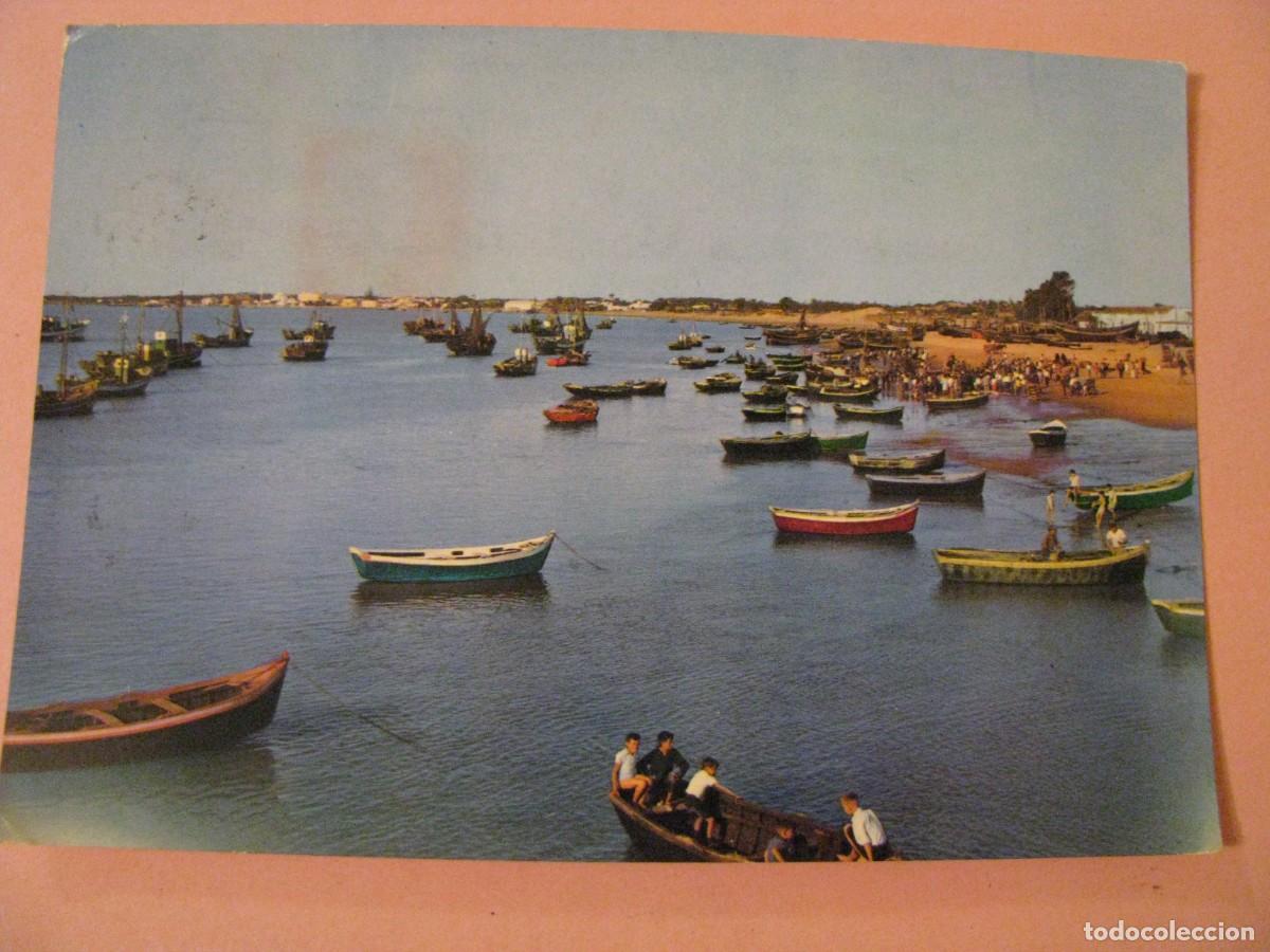 Postales: POSTAL DE SANLUCAR DE BARRAMEDA. BAJO DE GUIA. VENTA DE PESCADO. ARRIBAS. CIRCULADA 1967.