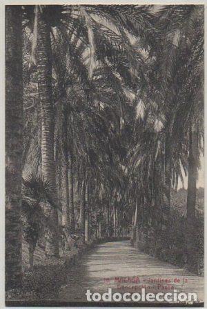 Postales: POSTAL DE MALAGA. JARDINES DE LA CONCEPCION. PASEO P-ANMA-1147
